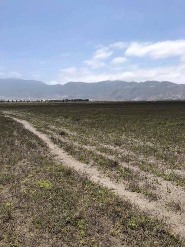 04c1061e-496e-4609-808a-8f7340d33a48