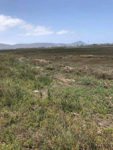 0ce19174-8755-4751-b530-027bc5083470