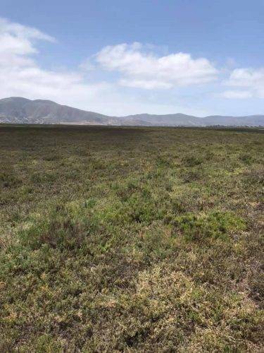 11b9468e-f5f7-4eff-8ea7-2352286051b0