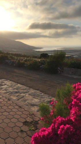 1806e7cb-bad3-4515-80ee-8c91eea5269d (1)