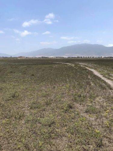 1b3c0867-5de1-4e0b-87a6-00940135d92c