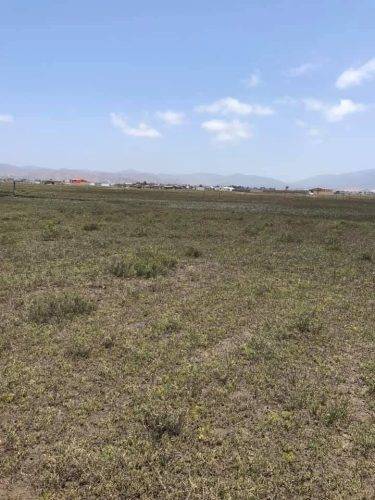 211e0273-b04e-4c6a-8e6b-e395d0d5e407