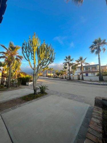 21 (1) (1) (1) (1) (1) (1) (1) (1) (1) (1) (1) (1) (1) (1) (1) (1) (1) (1) (1) (1) (1) (1)