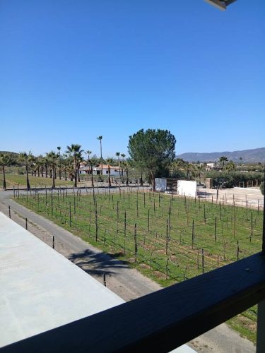 26 (1) (1) (1) (1) (1) (1) (1) (1) (1) (1) (1) (1) (1) (1) (1) (1) (1) (1) (1) (1) (1) (1) (1) (1) (1)