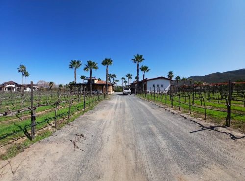 29 (1) (1) (1) (1) (1) (1) (1) (1) (1) (1) (1) (1) (1) (1) (1) (1) (1) (1) (1)