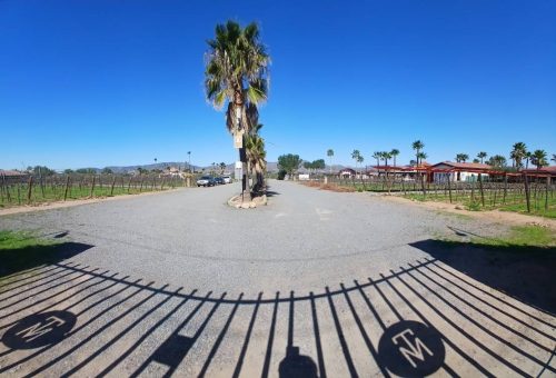 31 (1) (1) (1) (1) (1) (1) (1) (1) (1) (1) (1) (1) (1) (1) (1) (1) (1)