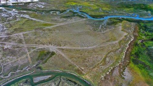 38dffdb4-a748-4efd-b44a-8d781af9c575 (1)