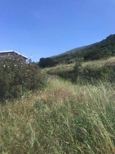 3ba4e8ec-16f4-4d4f-ad78-eab49854654f