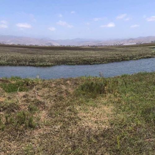 47dec491-60eb-4d0b-b6fb-8150058c6cf3