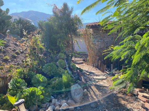 536cfa02-280a-49f8-b907-055acbd2d287