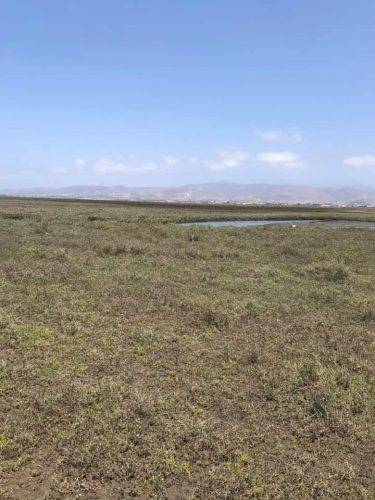 577c6585-626f-496b-8522-19a32ed304fa