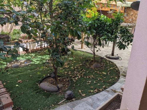 5 (1) (1) (1) (1) (1) (1) (1) (1) (1) (1) (1) (1) (1) (1) (1) (1) (1) (1) (1) (1) (1) (1) (1) (1) (1) (1) (1) (1) (1) (1) (1) (1) (1) (1) (1) (1) (1)