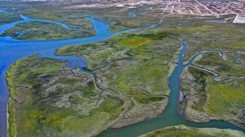 61cdde7e-03a1-473b-aa1f-6a8ee68d53a0 (1)