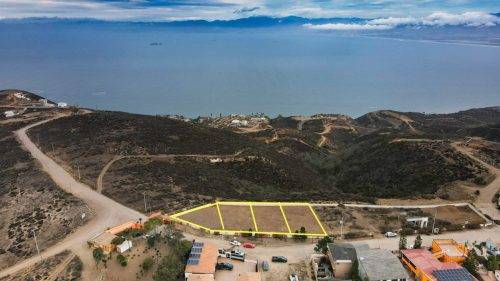 6 (1) (1) (1) (1) (1) (1) (1) (1) (1) (1) (1) (1) (1) (1) (1) (1) (1) (1) (1) (1) (1) (1) (1) (1) (1) (1) (1) (1) (1) (1) (1) (1) (1) (1) (1) (1) (1) (1) (1)