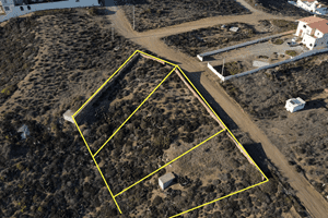 81c757ad99194885e7a79aea9a31a8d6