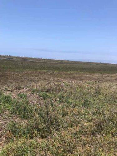 86212463-be0a-4460-b1f1-6c5106ffffb5