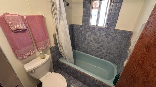 IMG 2676