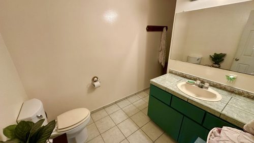 IMG 3084