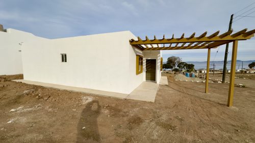 IMG 4502
