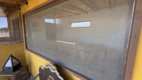 IMG 4588