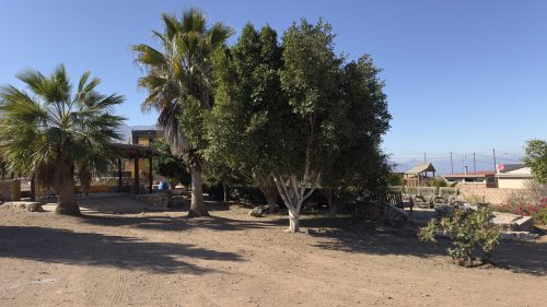 IMG 4596