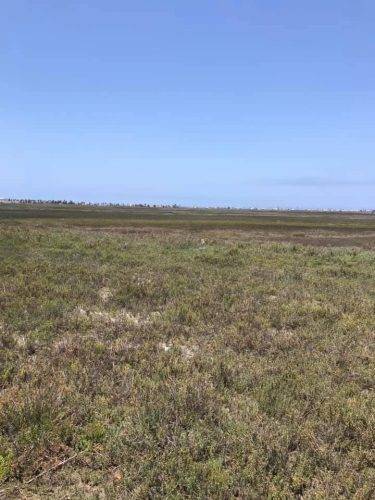 aae1ca07-889d-4f83-9b78-706f8b5a0d52