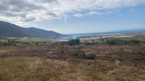 c3adfe67-2f8a-4368-bd3a-6935af979ade (1)