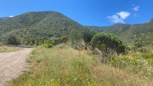 c87c4546-15b8-4649-a495-bf97a3a44c06 (1)