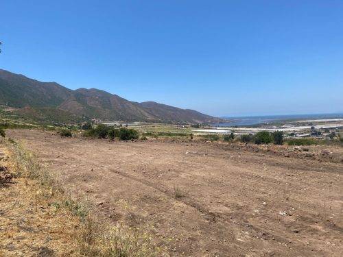 d04e702d-ad50-473d-b622-acd9def9a749