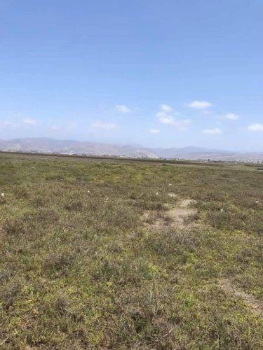 d3ee9115-8e3c-4932-b232-3d2cc9a8d3cd