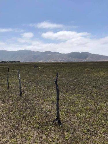 f58574dc-be09-47c9-bb68-285a910ab03e