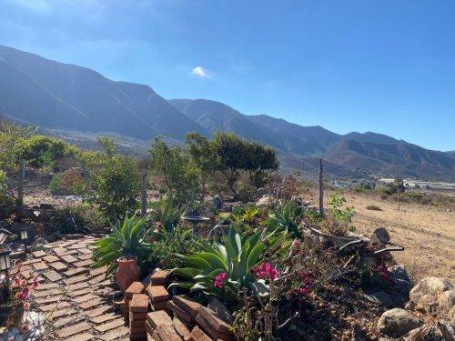 f8af70bf-9037-46b9-b6b6-b0bfa3afee9f